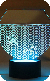 Custom Engraved LED Lights Langley